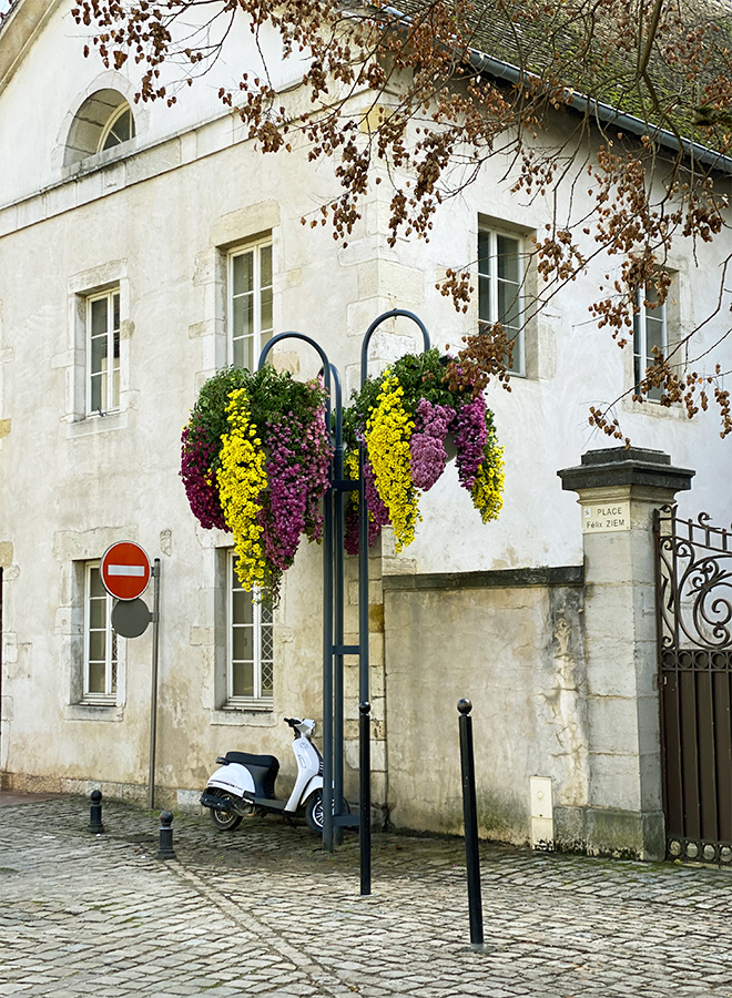 The typical houses of Beaune and the colors during autumntime