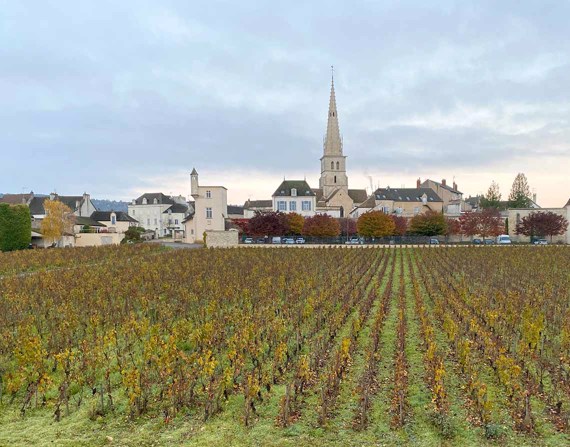 Borgonha: o casamento inseparável entre vida e vinho