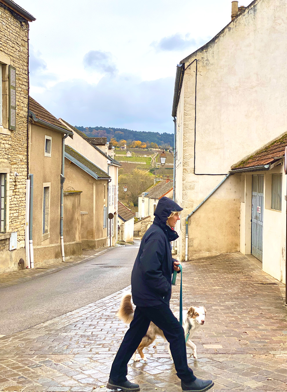 A French woman walks his dog on the charming streets of Beaune