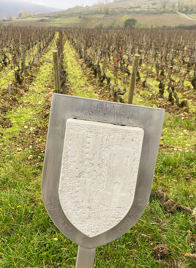 Burgundy vineyards of Hospices de Beaune
