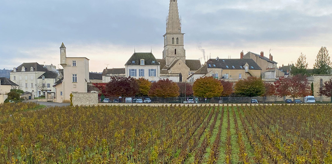 Burgundy: the inseparable marriage between life and wine